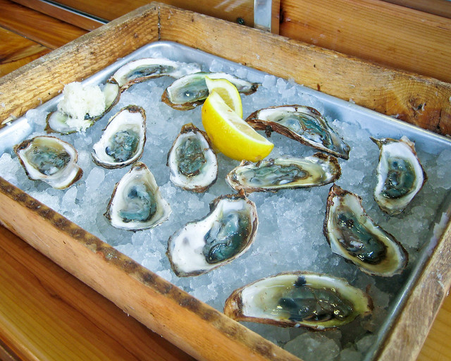 Oysters