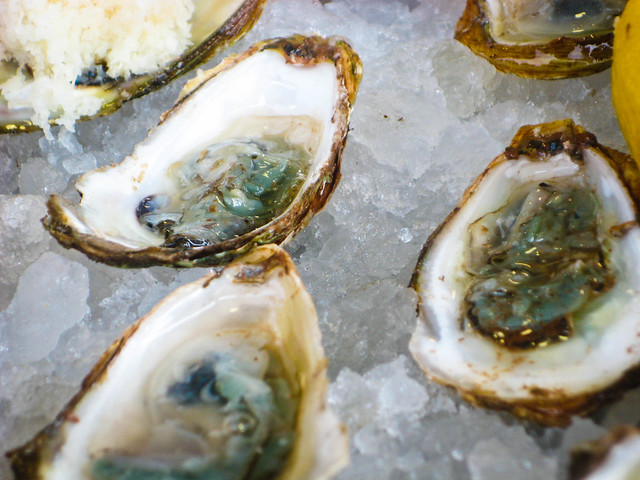 Oysters Closeup